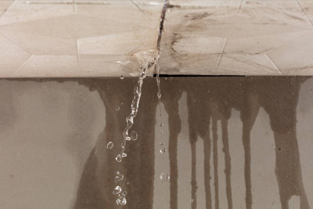 Professional Burst Pipe Cleanup technician working in Taylors, SC